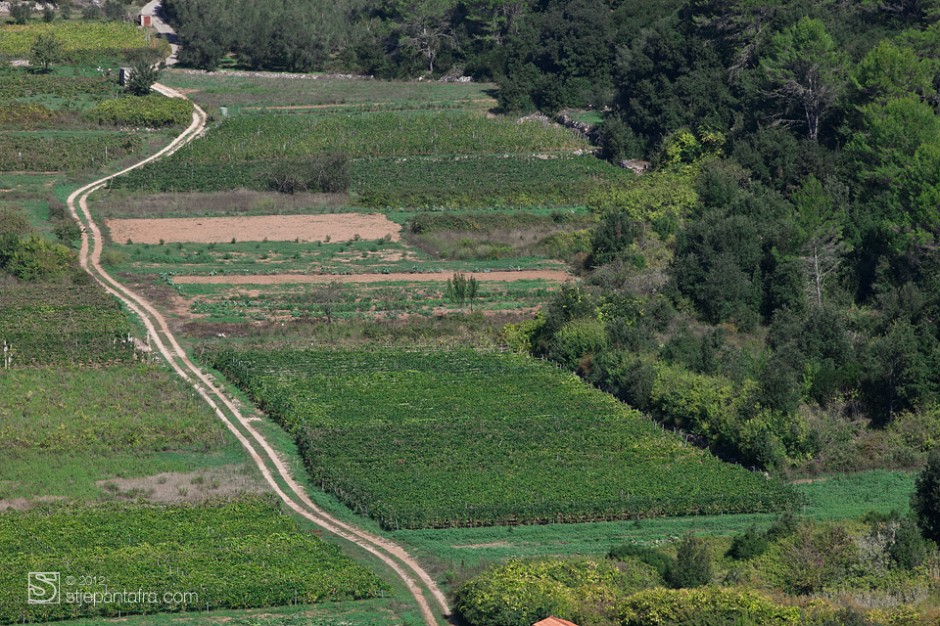 Vinogradi i otočni krajolik Lastova